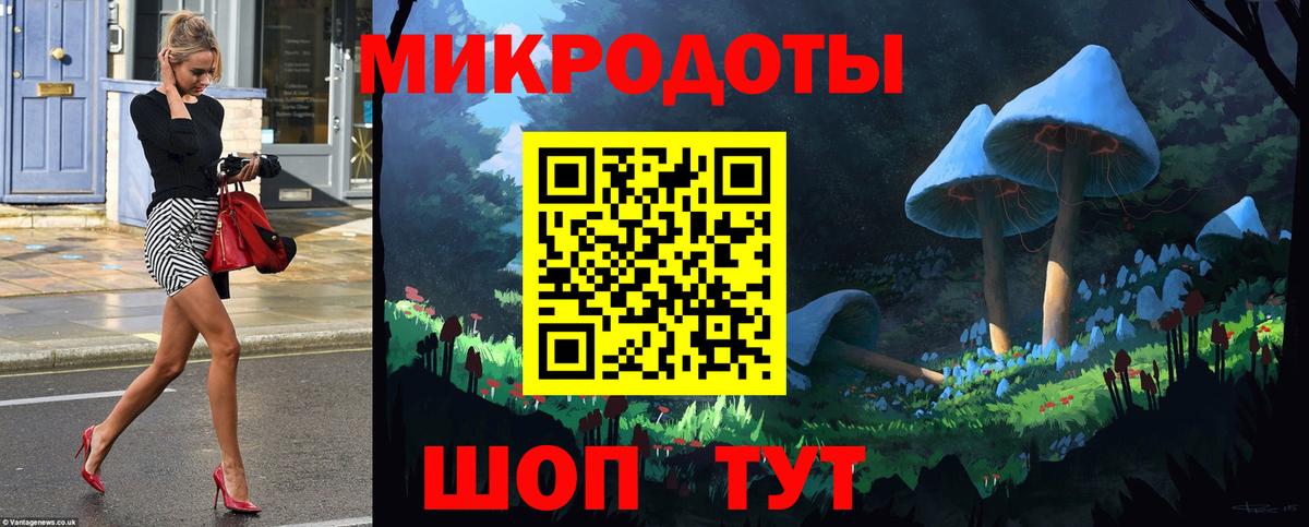 Киселёвск  хочу   Вход с VPN  Галлюциногенные грибы Cubensis 