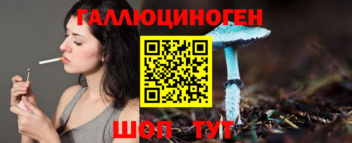 Галлюциногенные грибы MAGIC MUSHROOMS Киселёвск